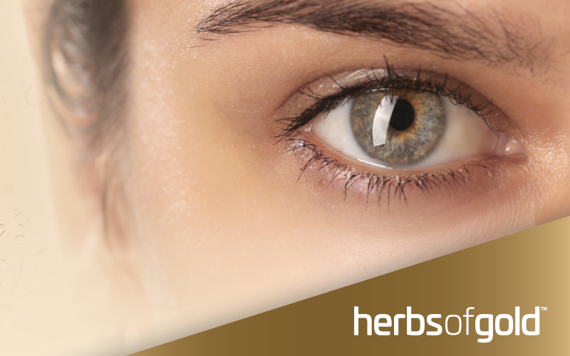 The Dry Eye Survival Guide - Everyday Tips for Relief