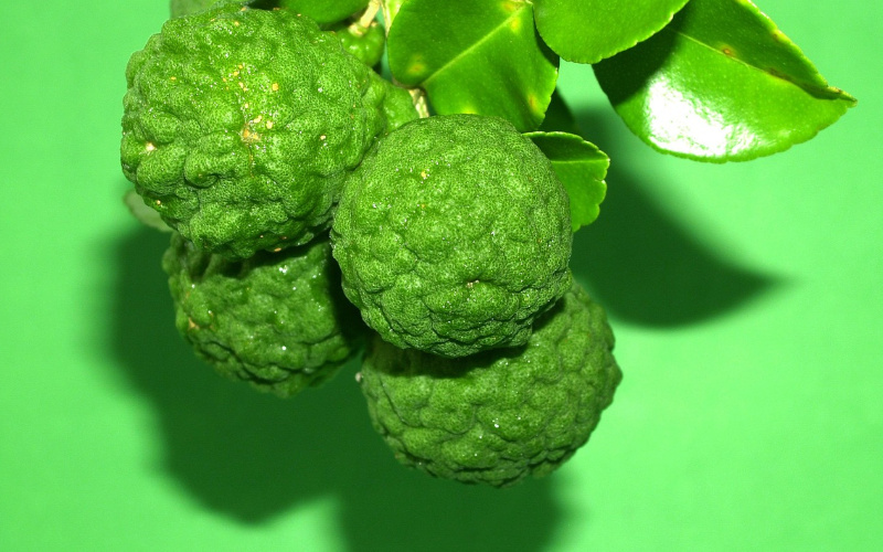 Berberine Vs. Bergamot: What’s the Difference and How Do They Benefit You?