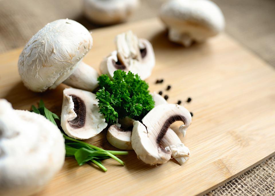 What Are Medicinal Mushrooms?