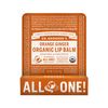 Dr. Bronner's Organic Lip Balm Orange Ginger 4g