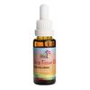 Eden Health Foods Deep Tissue Massage Oil