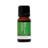 ECO Aroma Essential Oil Eucalyptus 10ml