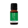 ECO Aroma Essential Oil Peppermint 10ml