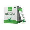 Nature's Sunshine Chlorophyll Sachets | Spearmint 30 Pack