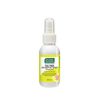 Tea Tree Antiseptic Spray with Aloe Vera