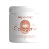 Roogenic Superfood Powder | Collagen+ 180g