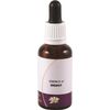 Living Essences Living Helpers Essence of Energy 30ml