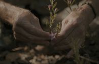 Bush Flower Stock Kit - Image 3