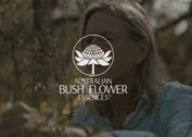 Bush Flower Stock Kit - Image 6