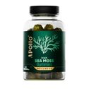 Apollo Irish Sea Moss Gummies | Green Apple