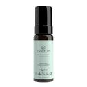 Sanctum Purifying Foam Cleanser