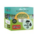 Untamed Health | Alfalfa Mini Tini Microgreens Grow Kit
