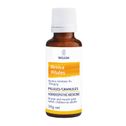 Weleda Arnica Pilules Granules