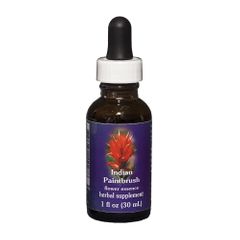 FES Quintessentials Indian Paintbrush 30ml