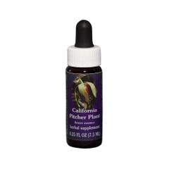 FES Quintessentials California Pitcher Plant 7.5ml