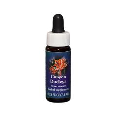 FES Quintessentials Canyon Dudleya 7.5ml