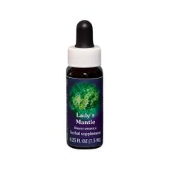 FES Quintessentials Lady's Mantle 7.5ml