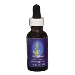 FES Quintessentials Mugwort 30ml