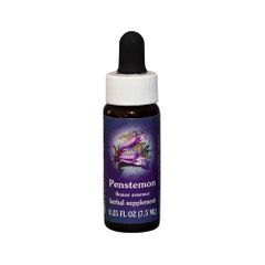 FES Quintessentials Penstemon 7.5ml