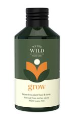 We The Wild Plant Care | Grow