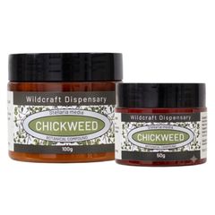 Wildcraft Dispensary Chickweed Natural Ointment 50g