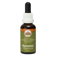 Bush Flower Dynamis Drops
