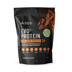Evolution Botanicals Evo Protein + Shilajit | Mango Lassi