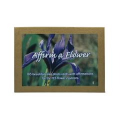 FES Affirm a Flower FES Range of Light 48 Cards