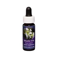 FES Quintessentials Shasta Lily 7.5ml