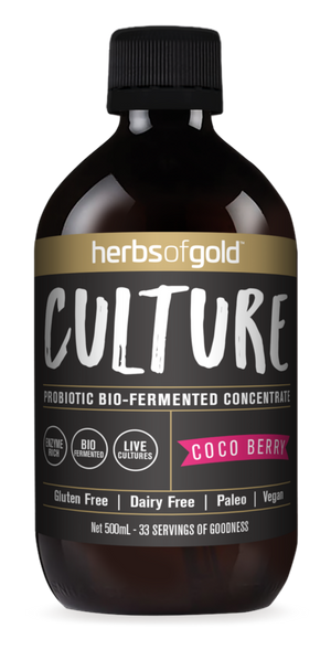 Herbs of Gold Culture 500ml Probiotic Drink - Coco Berry