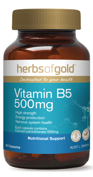Herbs of Gold Vitamin B5 500mg