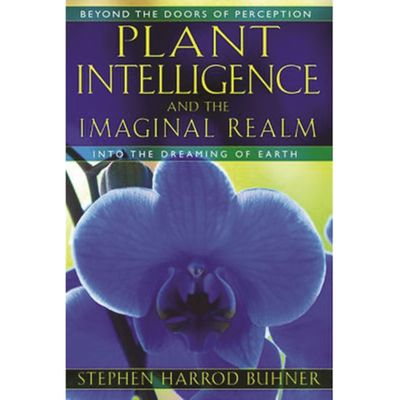 Plant Intelligence And The Imaginal Realm by S Buhner
