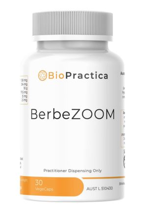 BioPractica BerbeZOOM