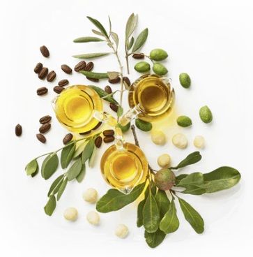 The Jojoba Company Ultimate Jojoba Youth Potion herbs